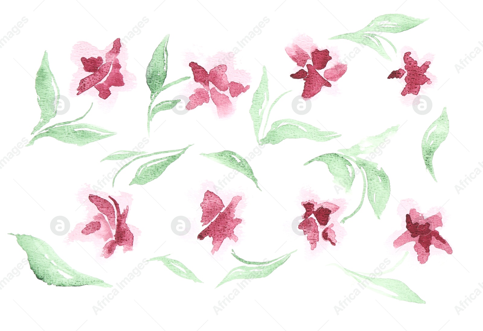 Photo of Watercolor painting of beautiful flowers and green leaves isolated on white, top view