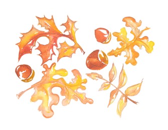 Photo of Watercolor painting of autumn leaves and acorns isolated on white, top view