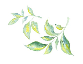 Photo of Watercolor painting of green leaves isolated on white, top view