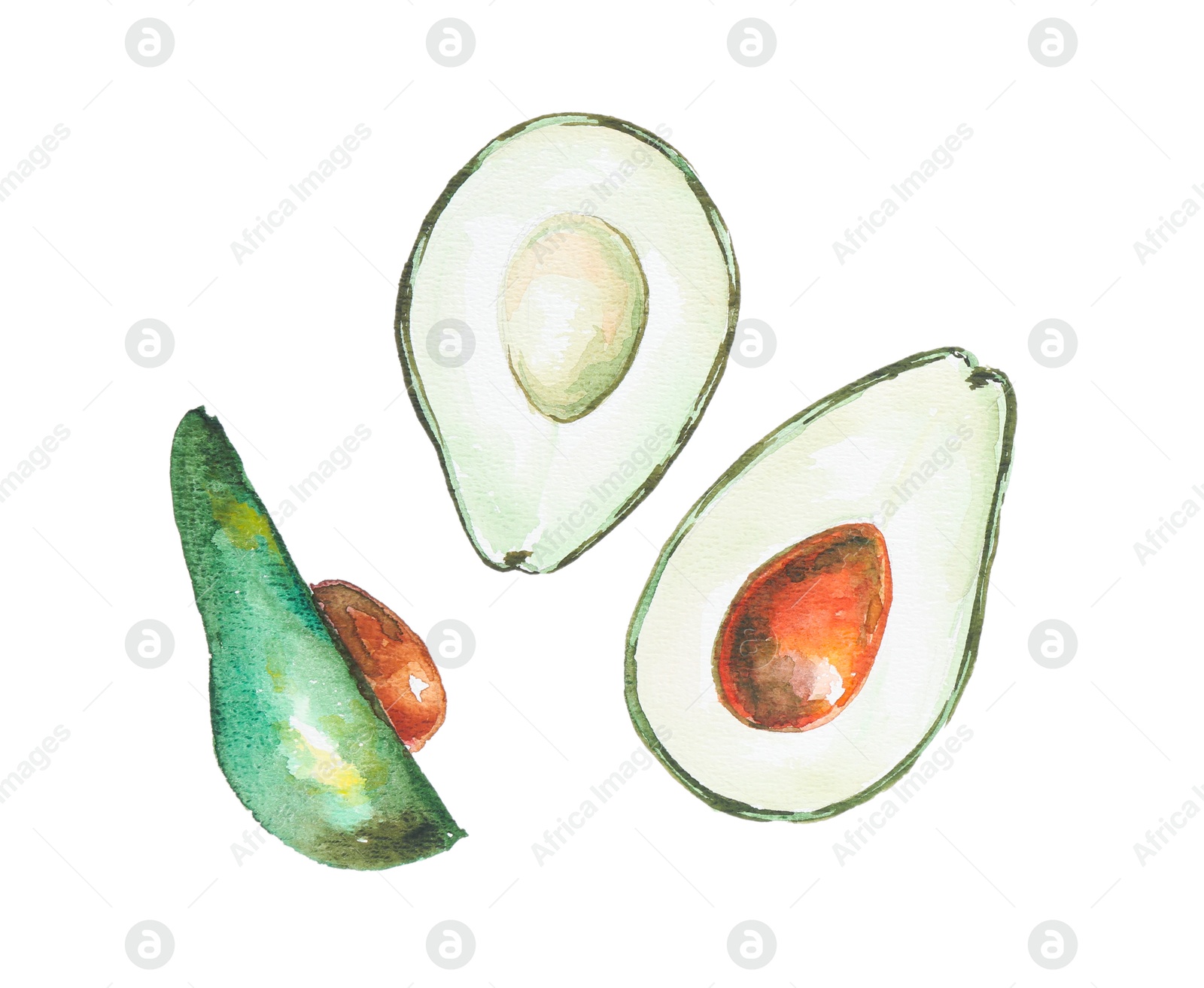 Photo of Watercolor painting of avocados isolated on white, top view