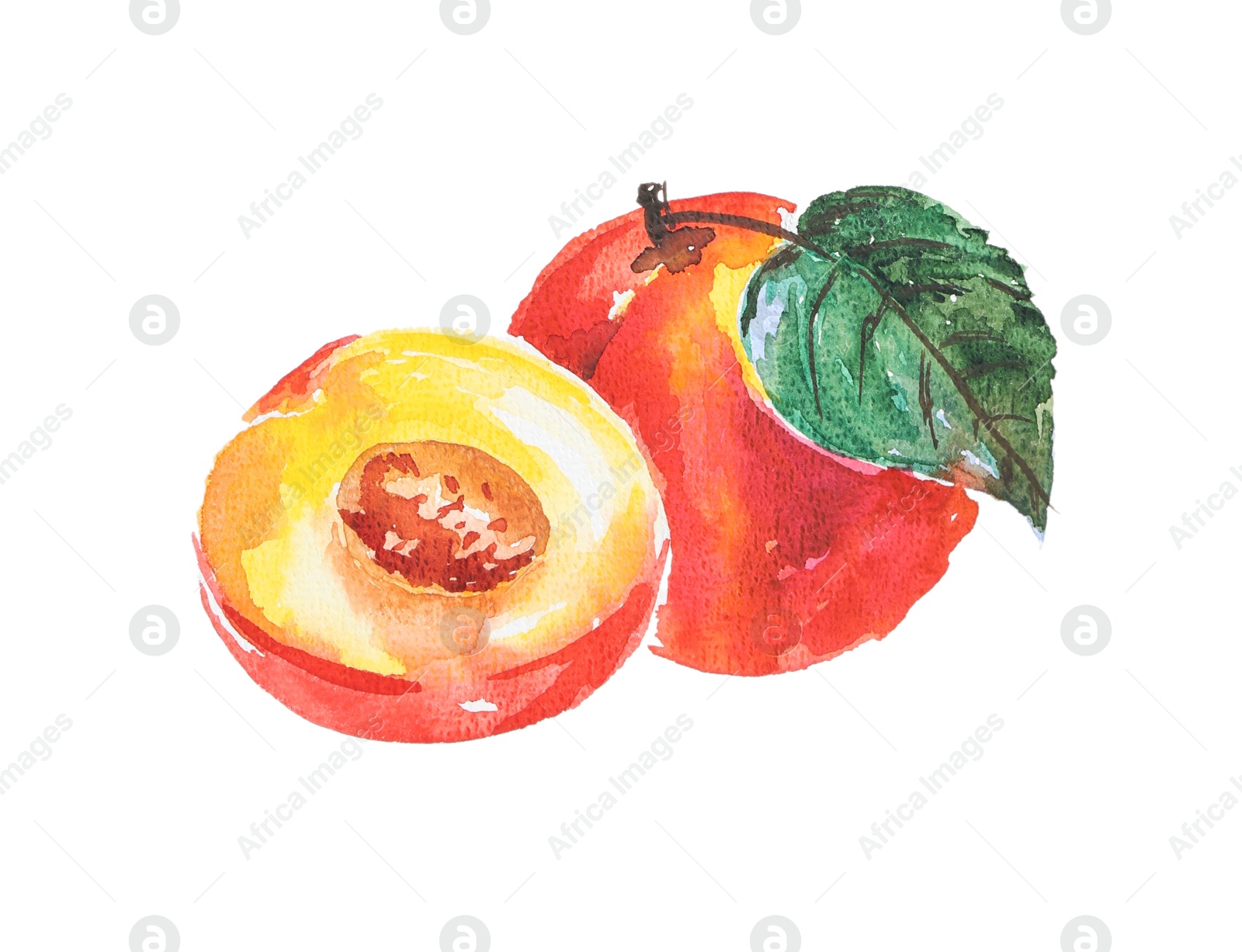 Photo of Watercolor painting of peaches and green leaf isolated on white, top view