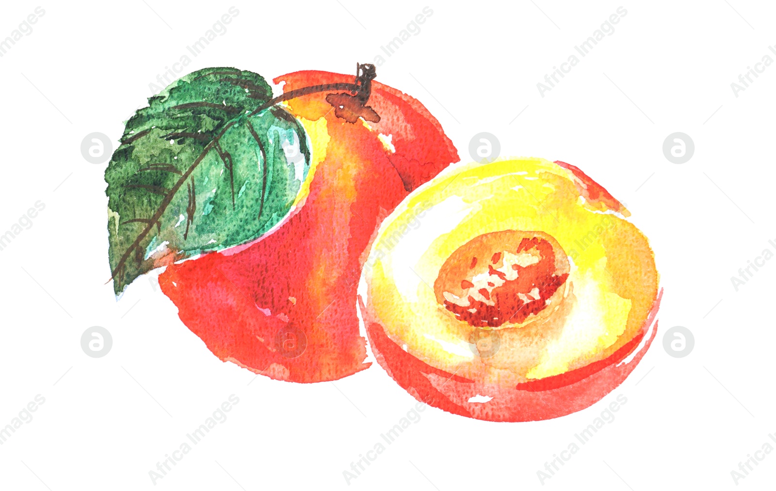 Photo of Watercolor painting of peaches and green leaf isolated on white, top view