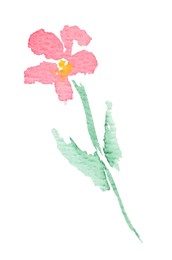 Photo of Watercolor painting of beautiful flower isolated on white, top view