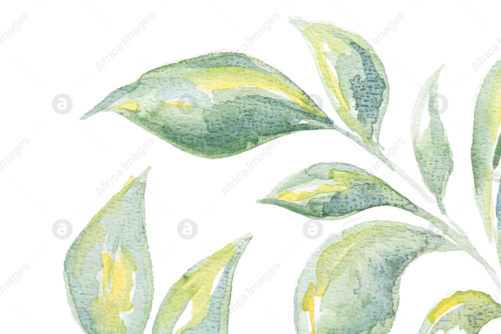 Photo of Watercolor painting of green leaves on white paper, top view