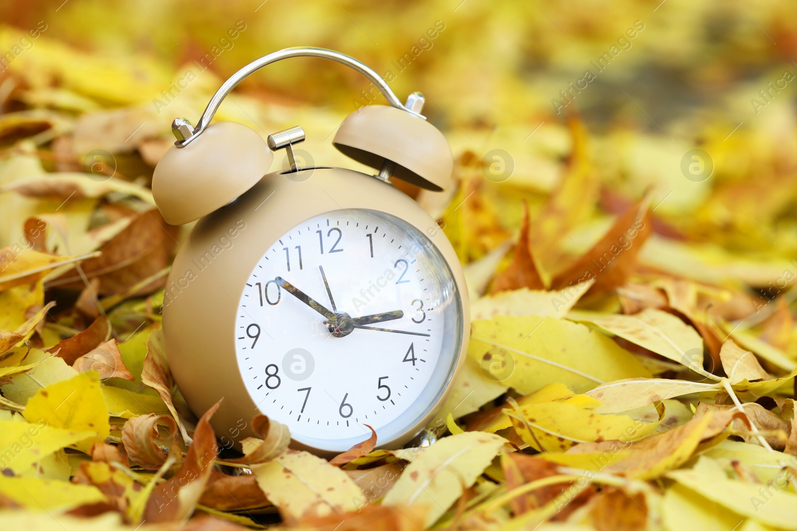 Photo of Autumn time. Alarm clock on fallen leaves, closeup