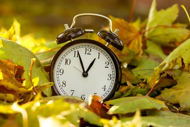 Photo of Autumn time. Alarm clock among fallen leaves, closeup