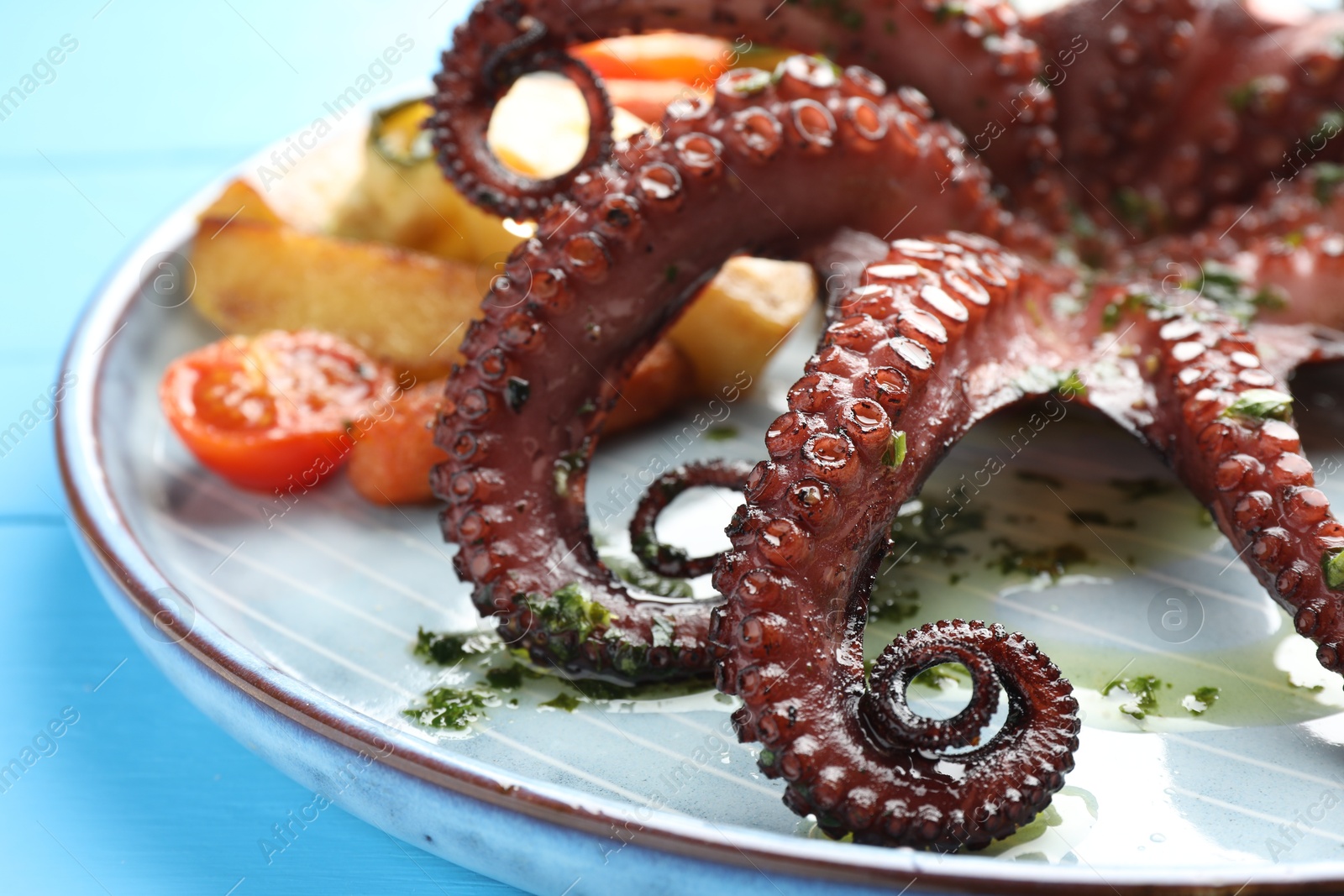 Photo of Fried octopus with herb sauce and vegetables on light blue wooden table, closeup