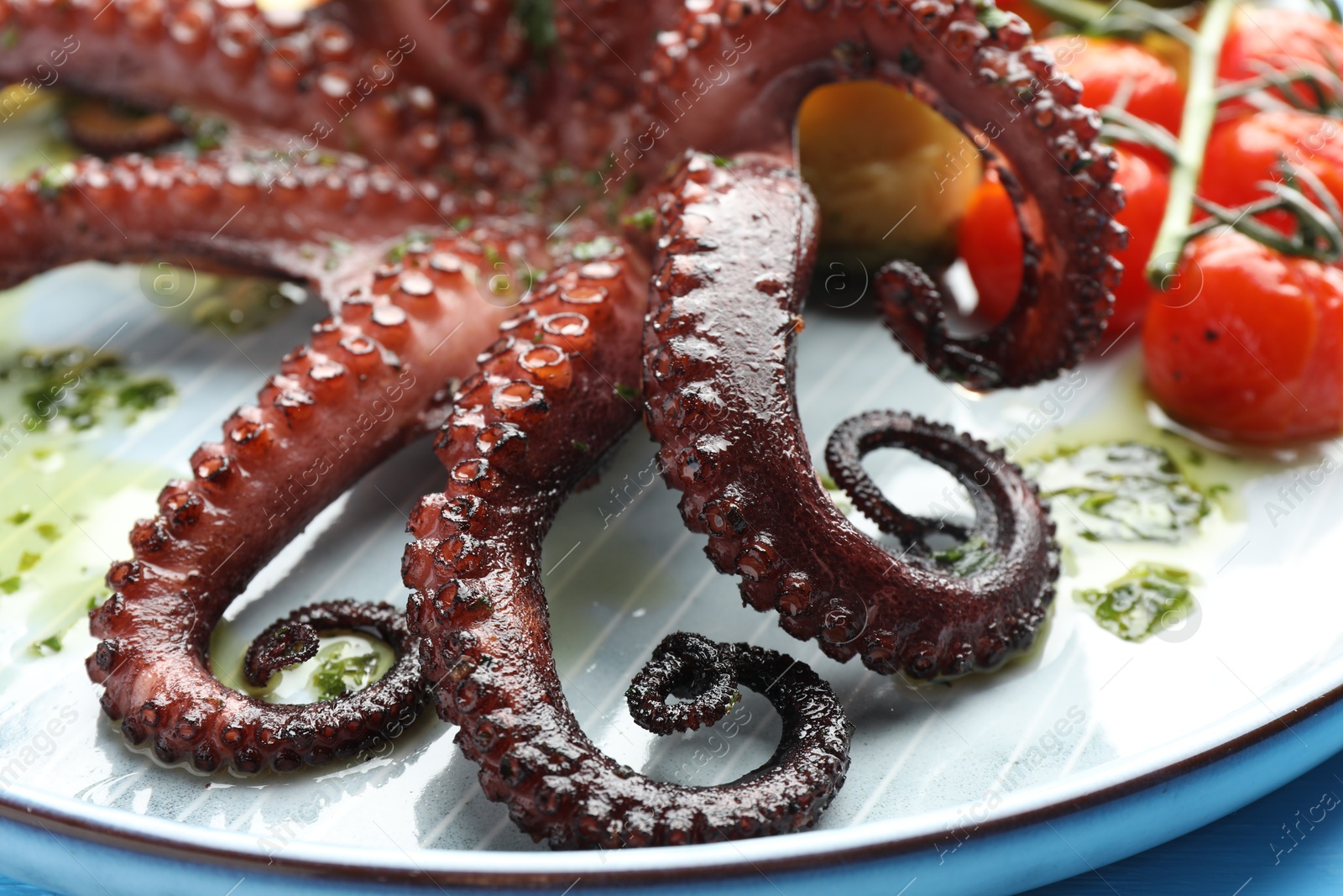 Photo of Fried octopus with herb sauce on plate, closeup