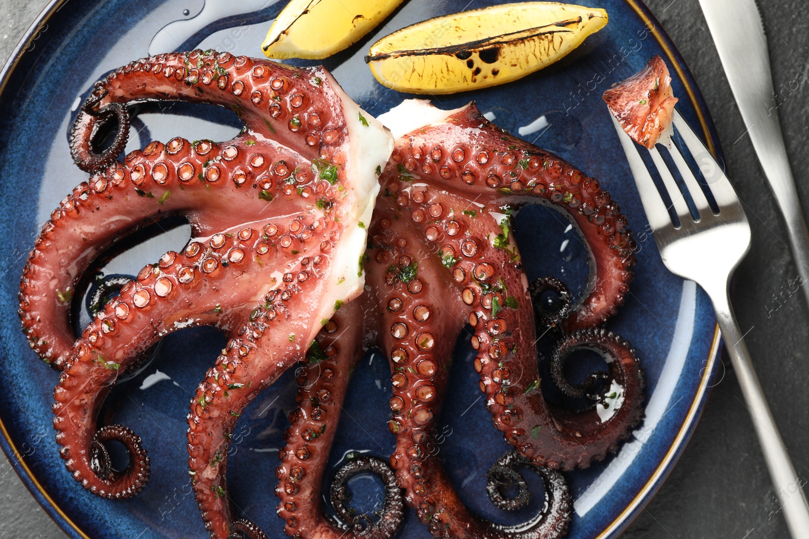 Photo of Fried octopus with herb sauce, lemon and cutlery on grey textured table, flat lay