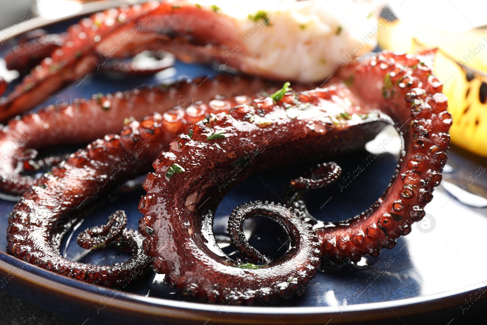 Photo of Fried octopus with herb sauce on grey table, closeup