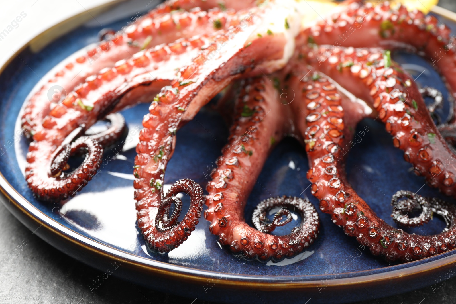 Photo of Fried octopus with herb sauce on grey table, closeup