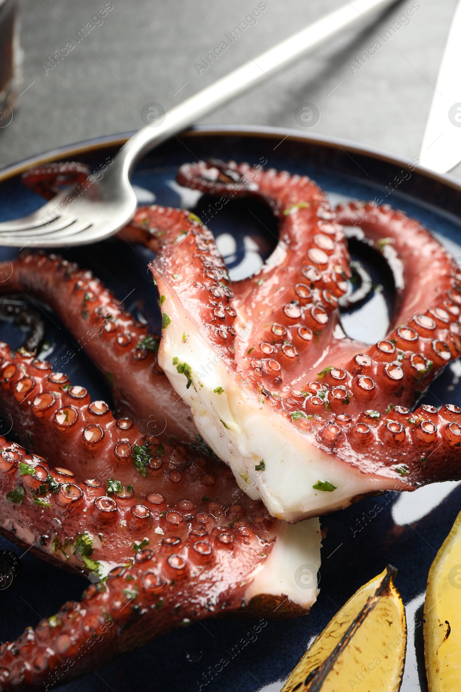 Photo of Fried octopus with herb sauce and lemon on grey table, closeup