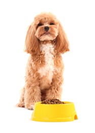 Photo of Feeding bowl with dry pet food and cute dog on white background