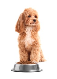 Photo of Feeding bowl with dry pet food and cute dog on white background