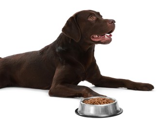 Photo of Cute dog lying near bowl of dry pet food on white background