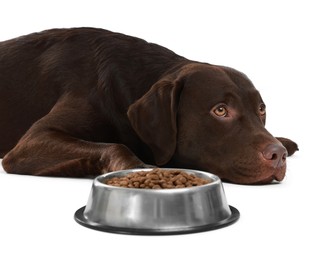 Photo of Cute dog lying near bowl of dry pet food on white background