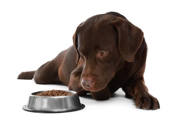 Photo of Cute dog lying near bowl of dry pet food on white background