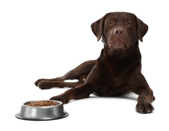 Photo of Cute dog lying near bowl of dry pet food on white background