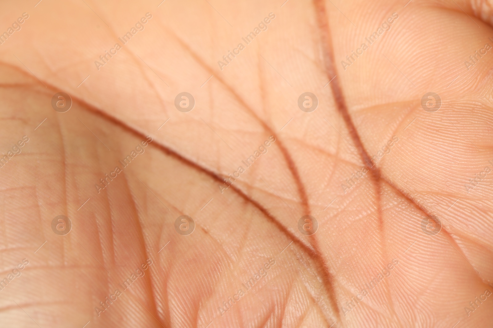 Photo of Macro view of normal skin as background