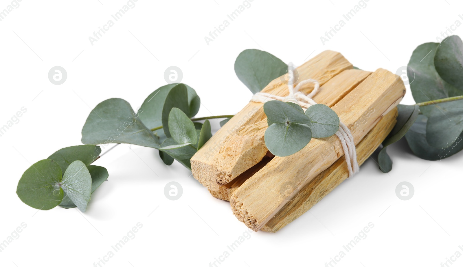 Photo of Palo santo sticks and eucalyptus branches isolated on white