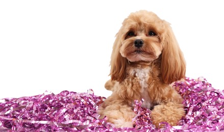 Photo of Cute dog with pile of shiny tinsels on white background. Space for text