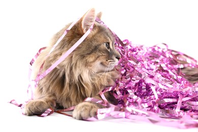 Photo of Cute cat with pink Christmas tinsel isolated on white