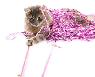 Photo of Cute cat with pink Christmas tinsel isolated on white