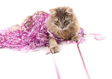 Photo of Cute cat with pink Christmas tinsel isolated on white