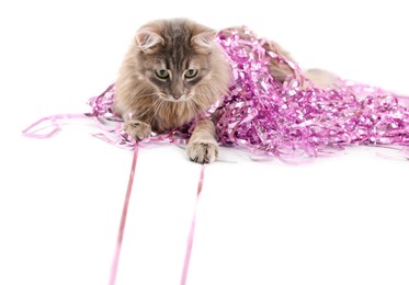 Photo of Cute cat with pink Christmas tinsel isolated on white