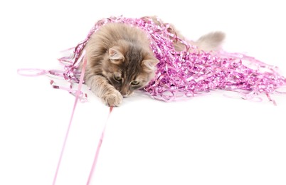 Photo of Cute cat with pink Christmas tinsel isolated on white