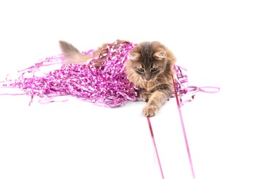 Photo of Cute cat with pink Christmas tinsel isolated on white