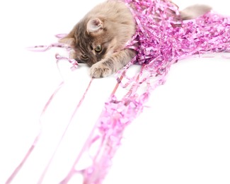 Photo of Cute cat with pink Christmas tinsel isolated on white