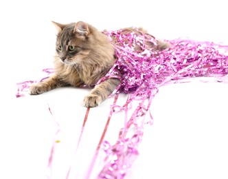 Photo of Cute cat with pink Christmas tinsel isolated on white