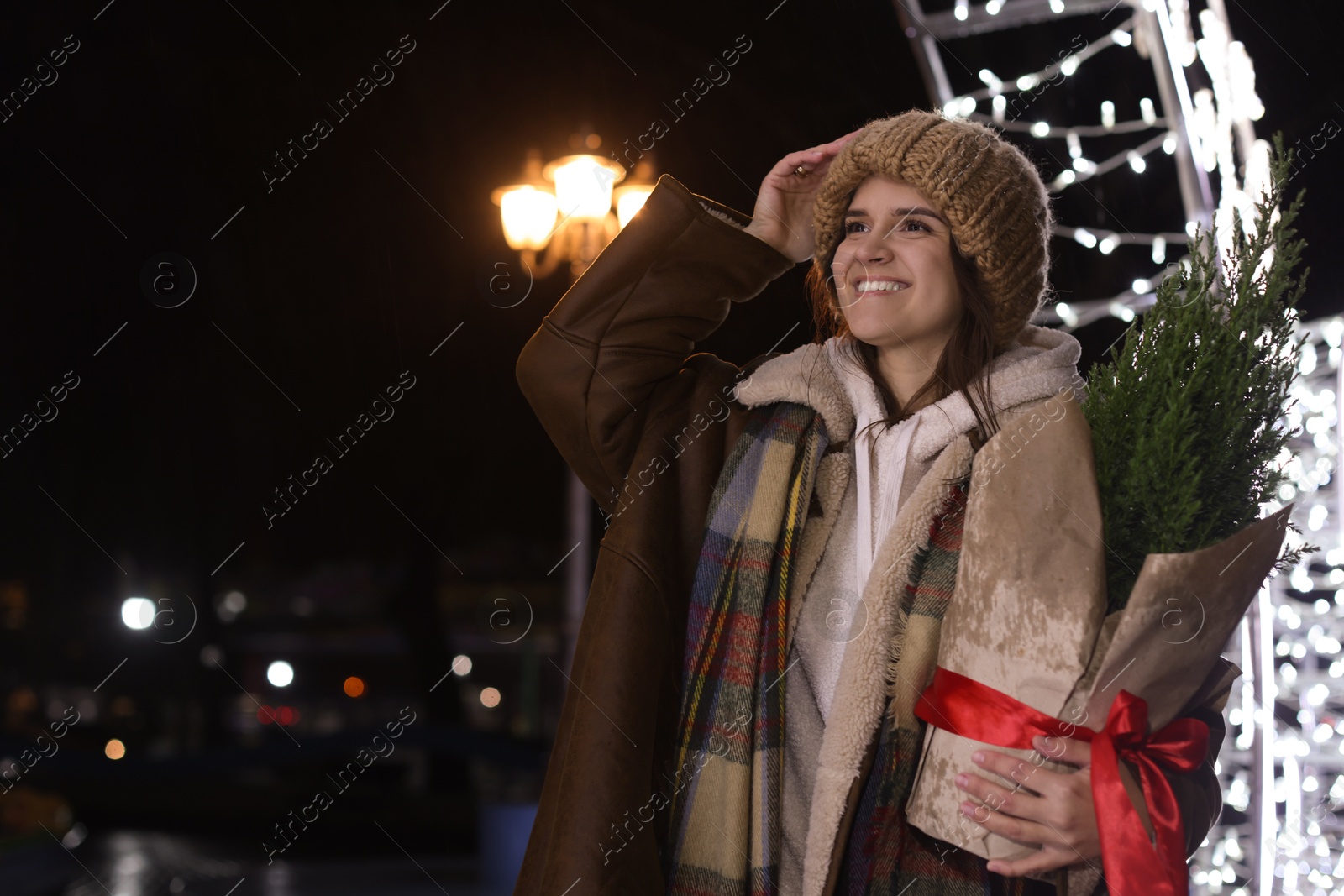 Photo of Happy woman with thuja tree at night outdoors. Space for text