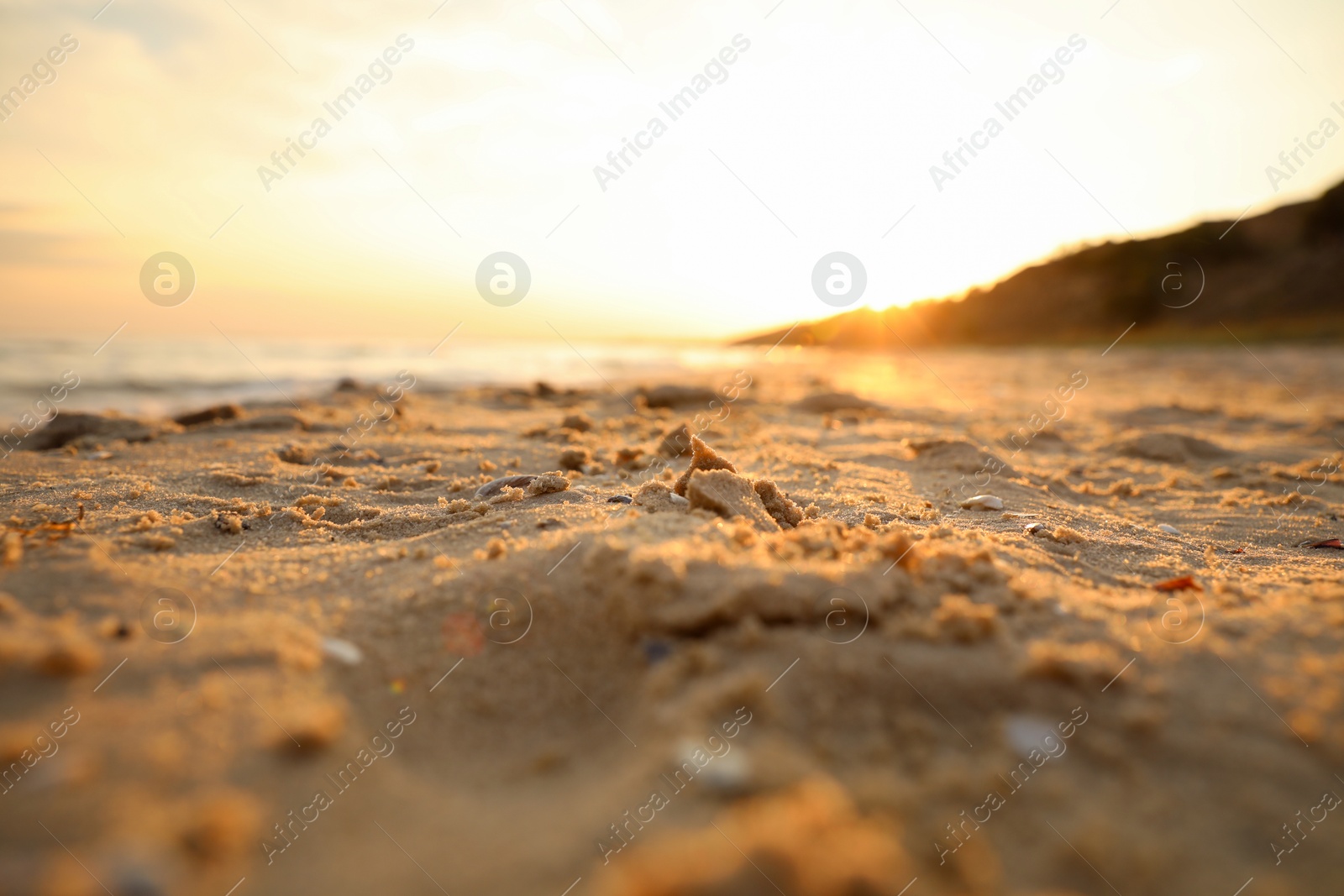 Photo of Beautiful view of sandy beach at sunset, closeup