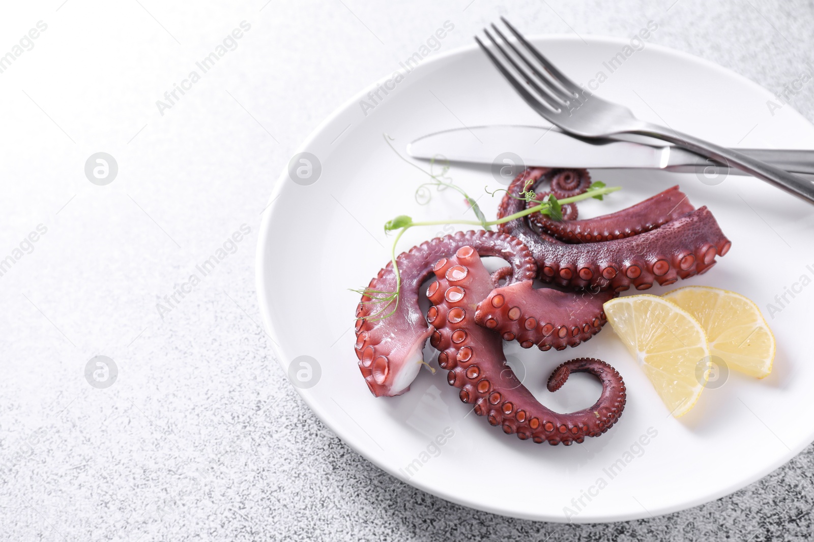 Photo of Appetizing octopus tentacles served on grey table, closeup. Space for text