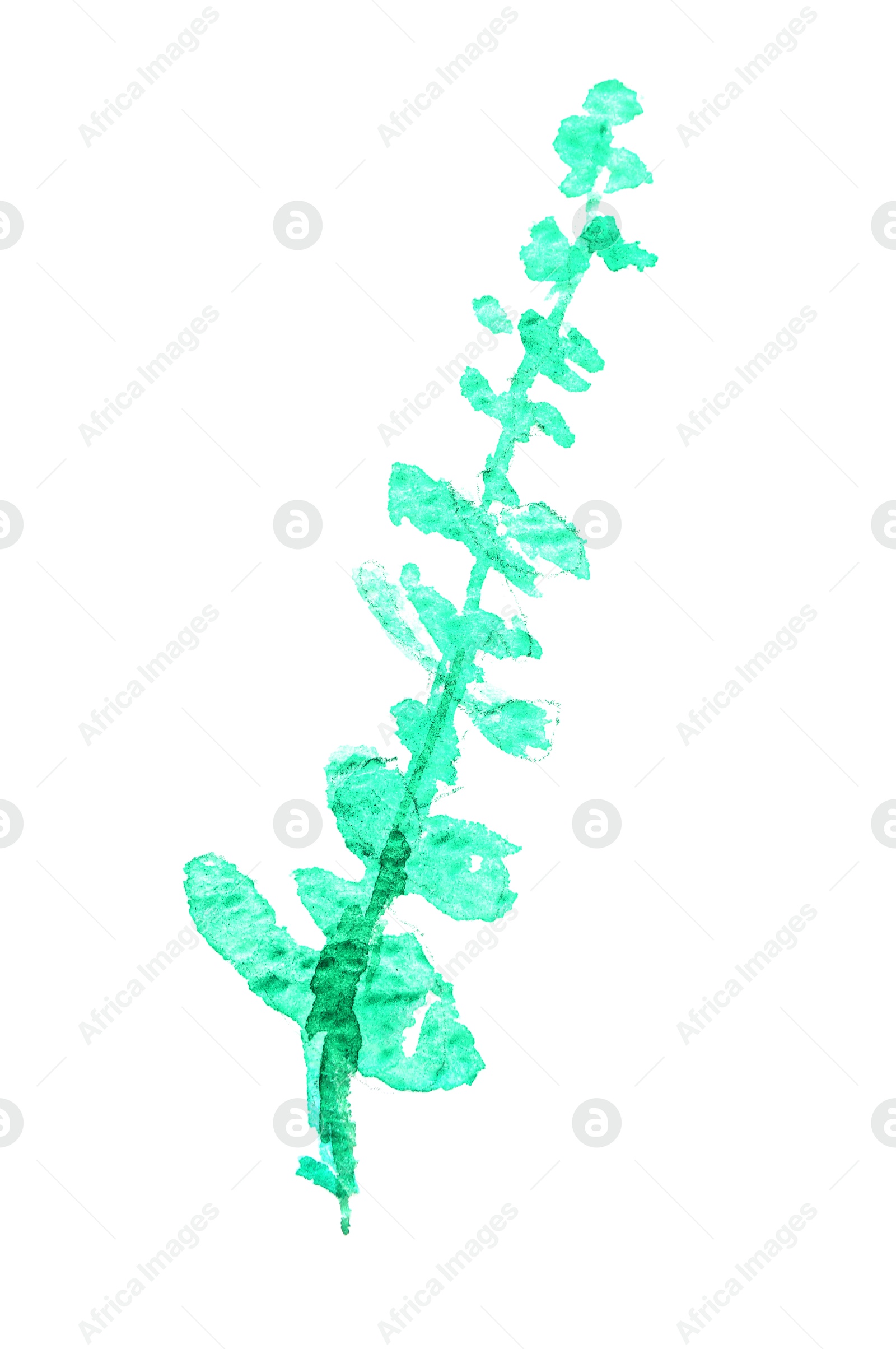 Photo of Watercolor painting of green plant isolated on white, top view