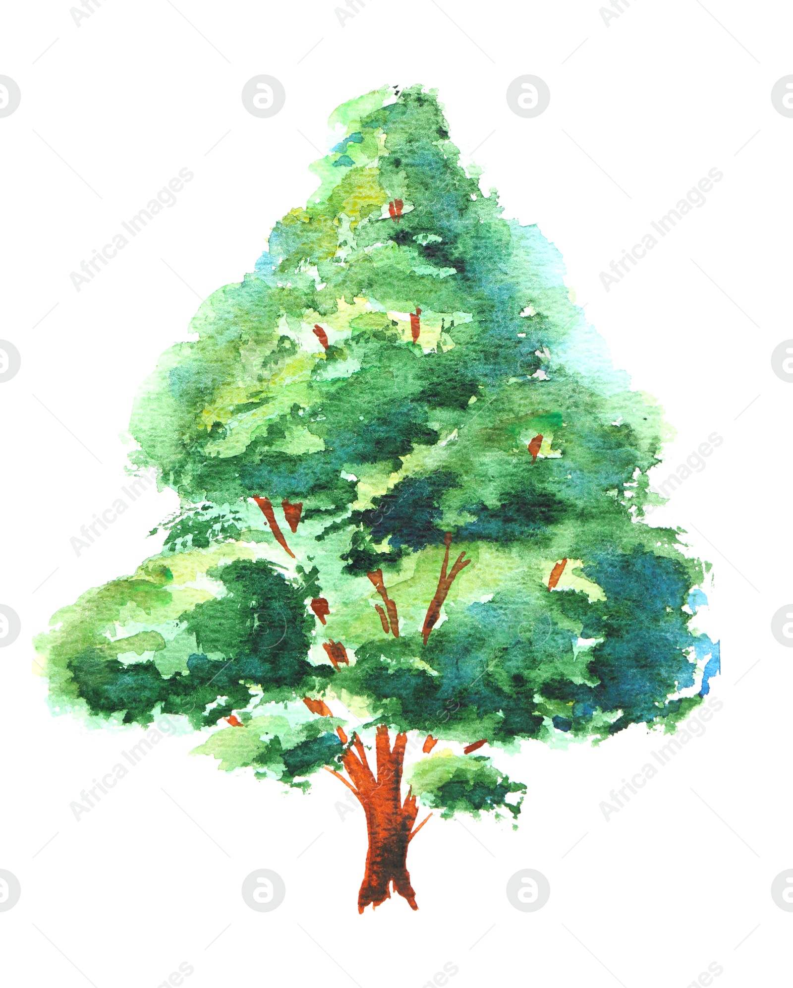 Photo of Watercolor painting of green tree isolated on white, top view