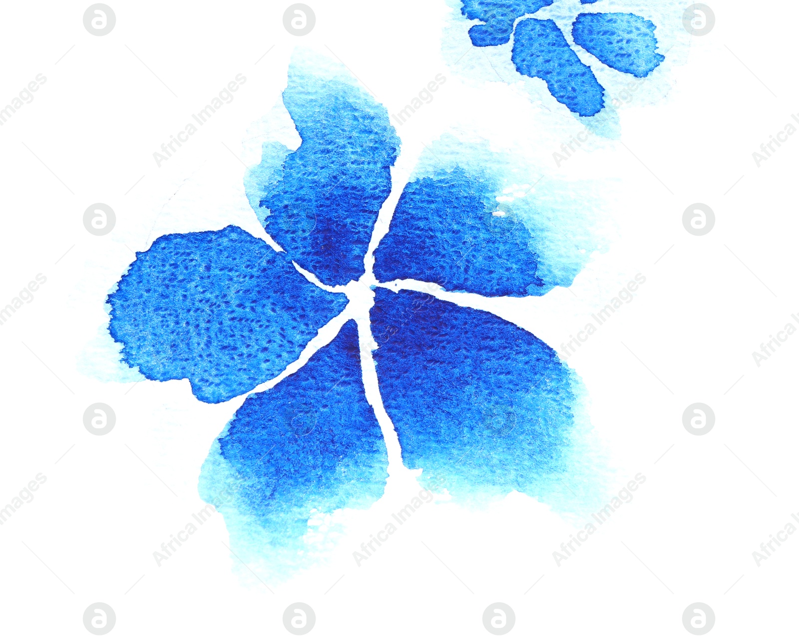 Photo of Watercolor painting of blue flower isolated on white