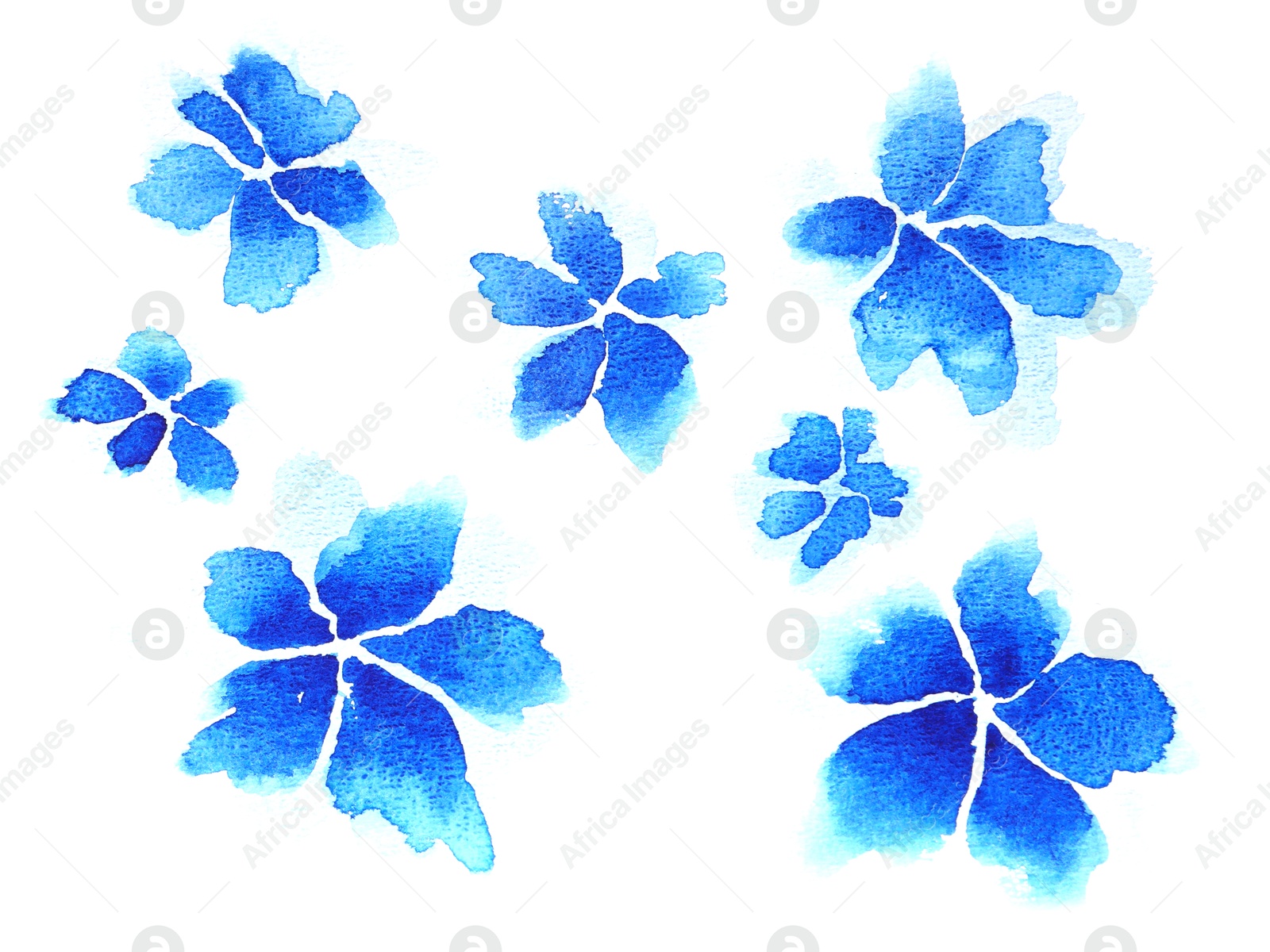 Photo of Watercolor painting of blue flowers isolated on white