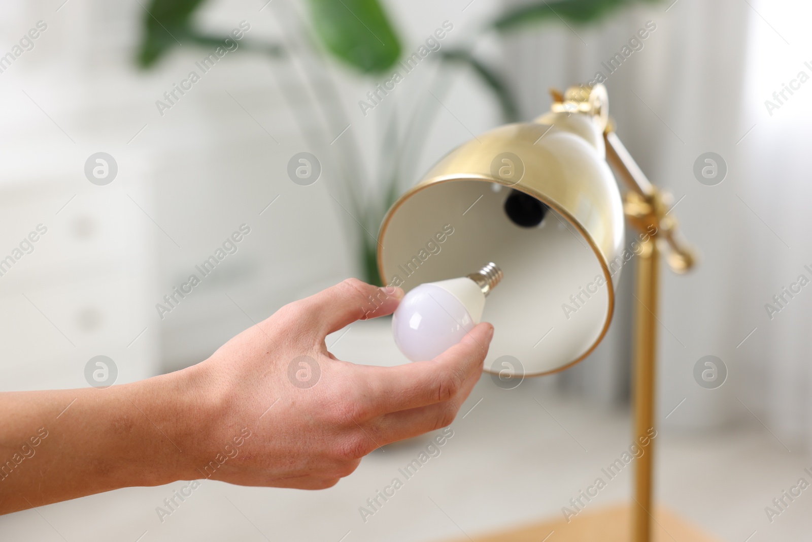 Photo of Man changing light bulb in lamp at home, closeup