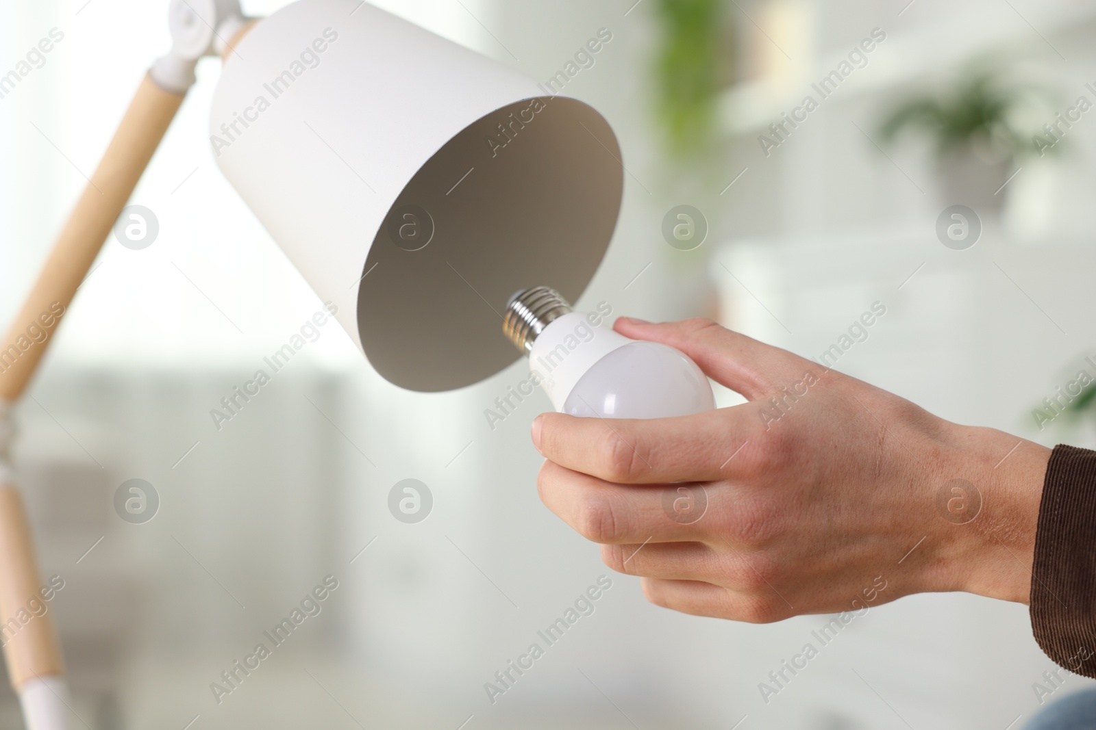 Photo of Man changing light bulb in lamp at home, closeup