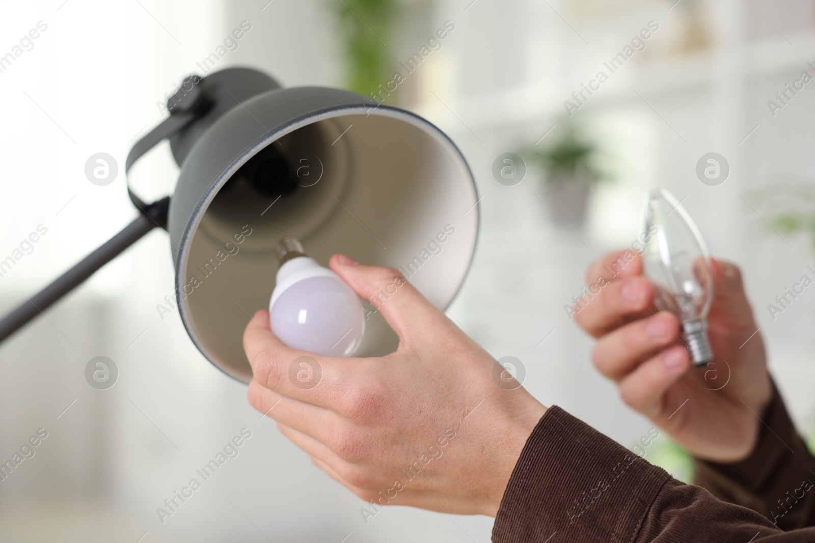 Photo of Man changing incandescent light bulb for fluorescent one in lamp at home, closeup