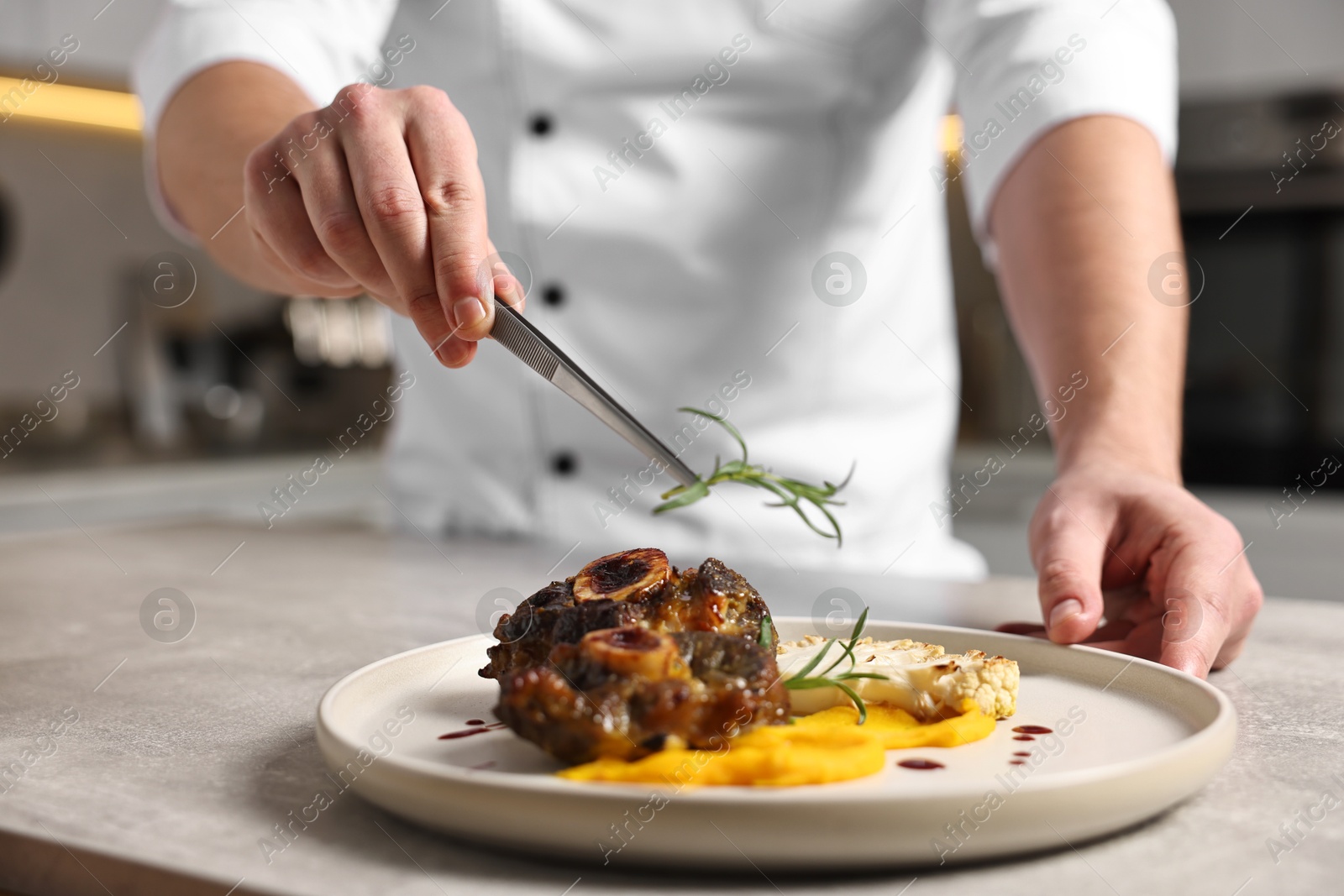 Photo of Professional chef serving dish at table indoors, closeup