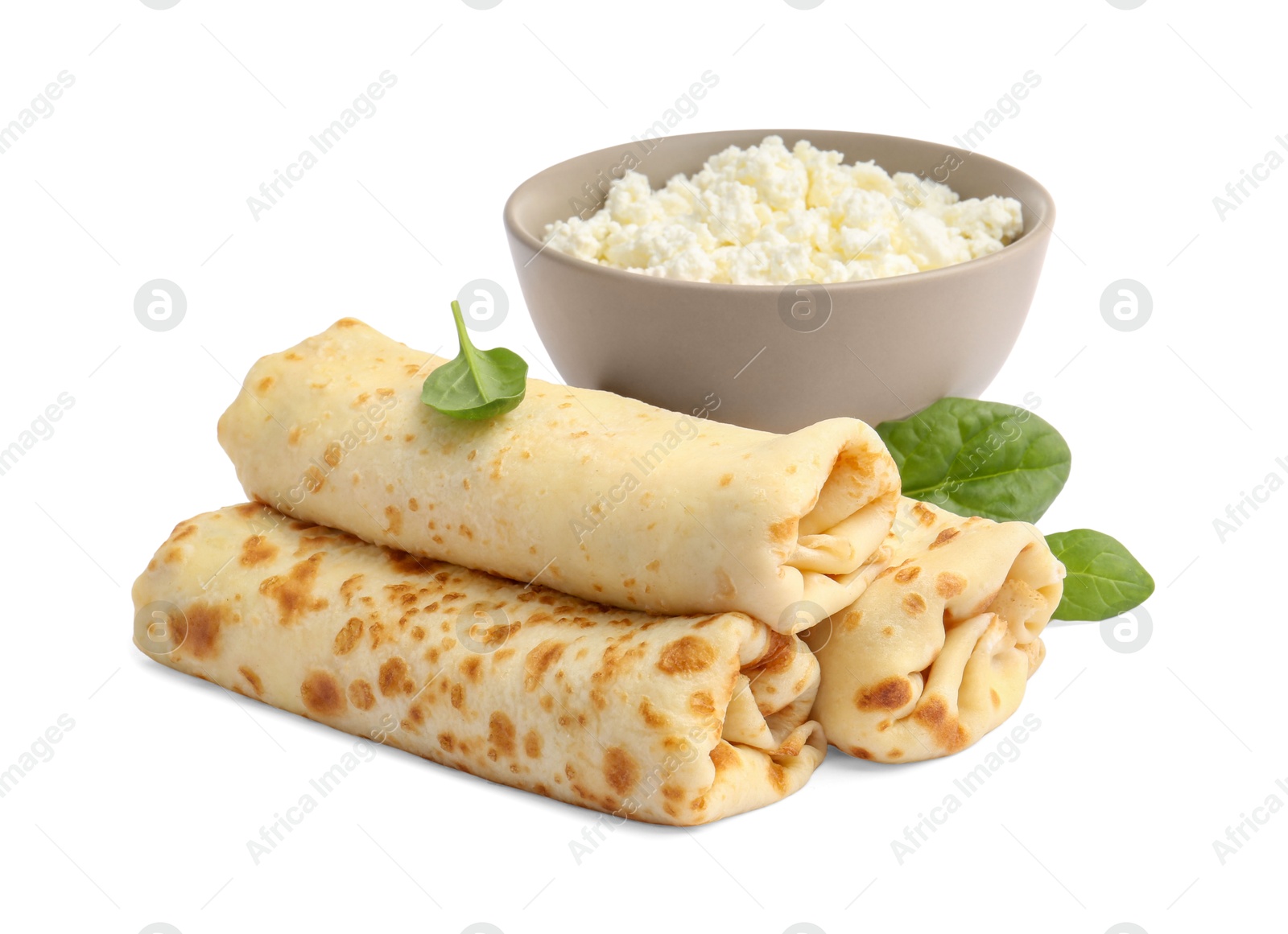 Photo of Delicious rolled crepes with cottage cheese and basil isolated on white