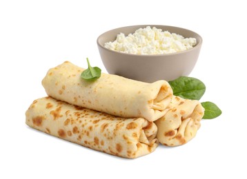 Photo of Delicious rolled crepes with cottage cheese and basil isolated on white