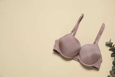 Photo of Beautiful bra and eucalyptus branch on beige background, flat lay. Space for text