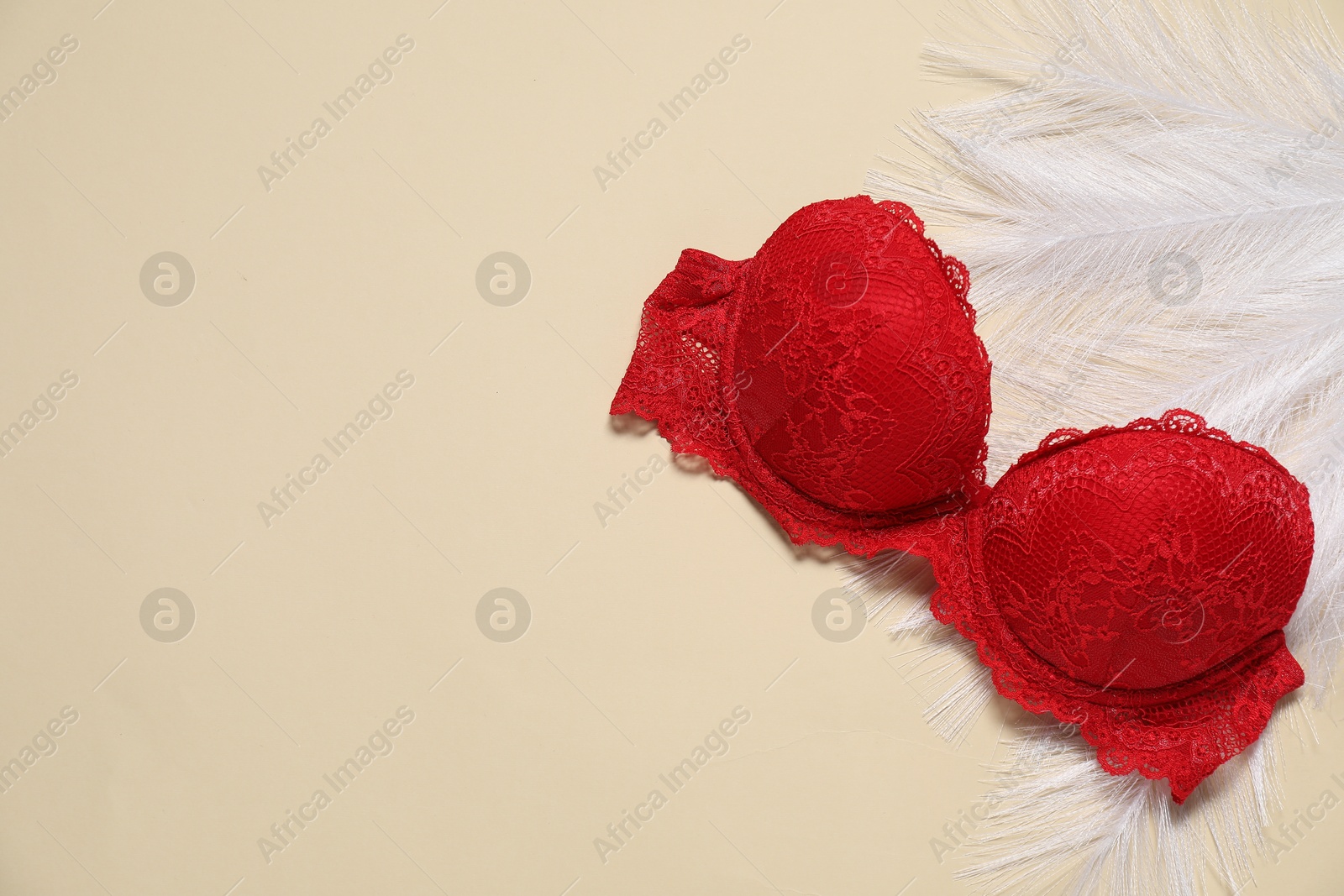 Photo of Beautiful red bra and feathers on beige background, flat lay. Space for text