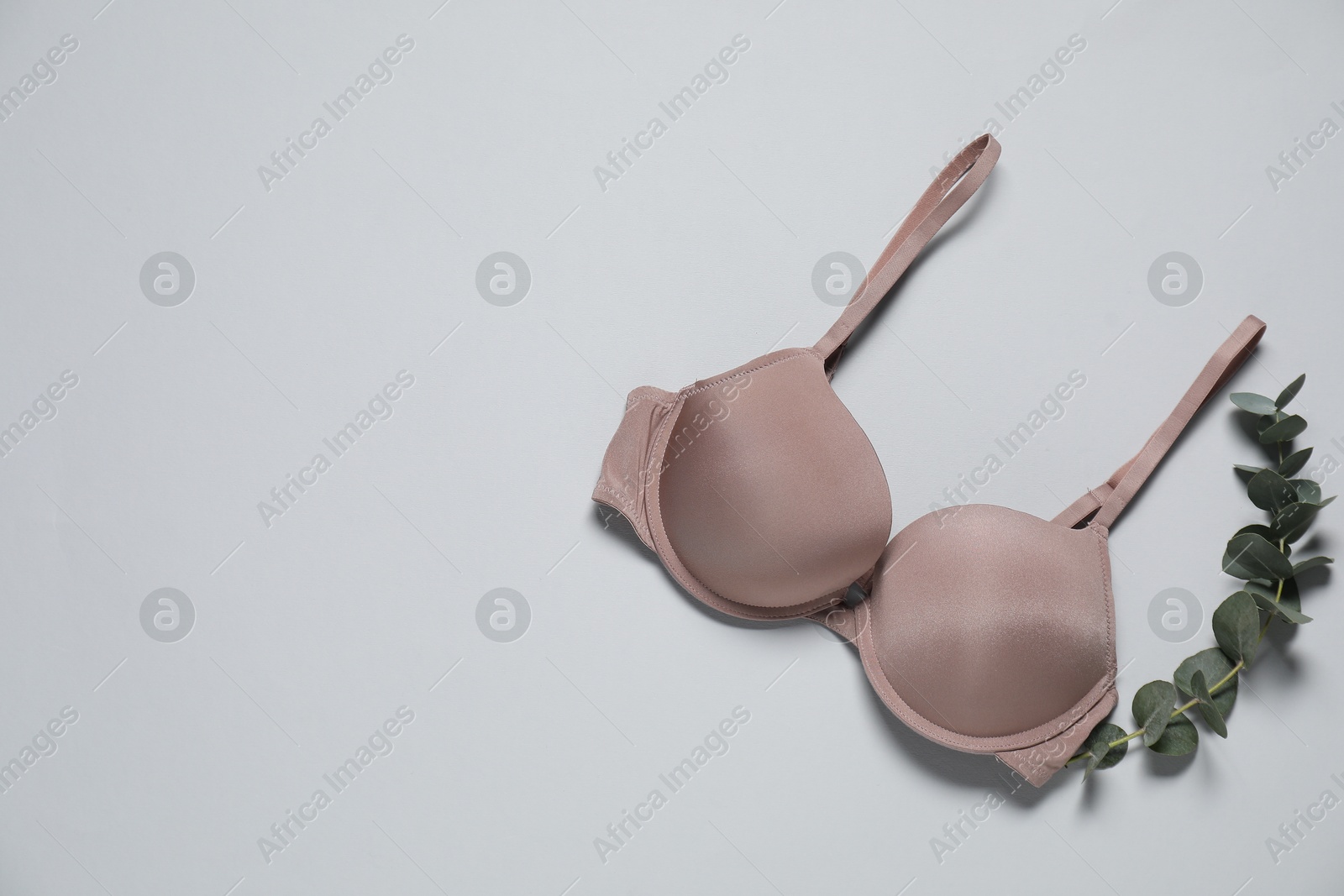 Photo of Beautiful beige bra and eucalyptus branch on light background, flat lay. Space for text