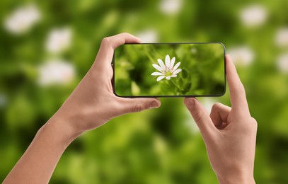 Image of Plant identifier application. Woman taking photo of flower outdoors, closeup